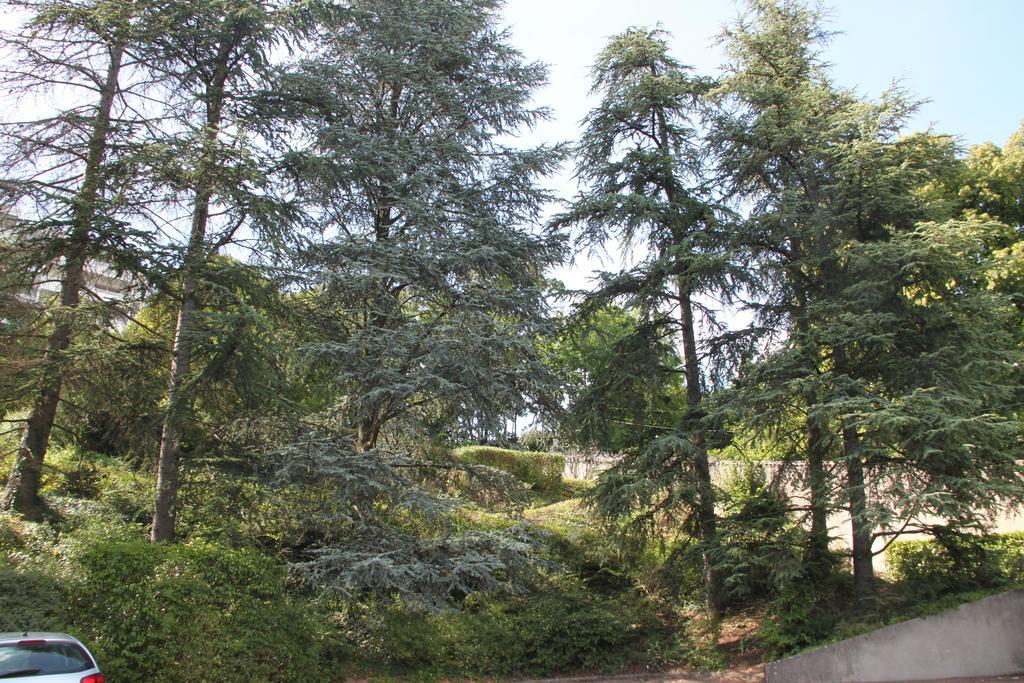 Les Hauts De Perrache Panzió Sainte-Foy-lès-Lyon Kültér fotó